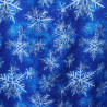 Détail du motif